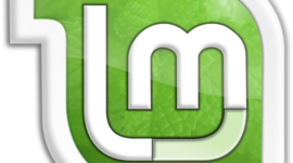 Timeline: 509 Procesadores de texto