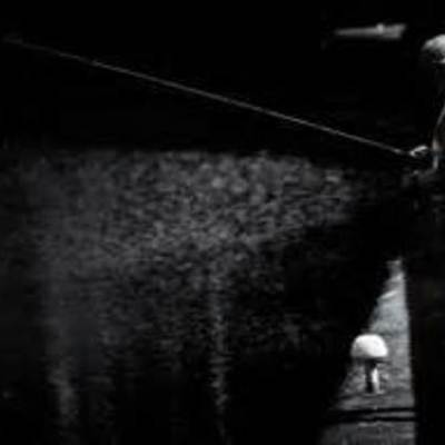 Timeline: immigration of lee xiaolin