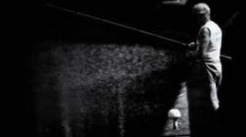 Timeline: immigration of lee xiaolin