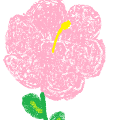 Timeline: Noelani Kekuia Immigration Timeline