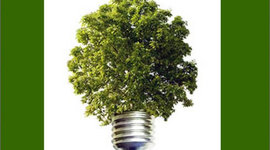 Timeline: DESARROLLO SUST.