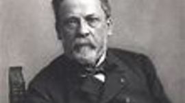 Timeline: History of Antibiotics