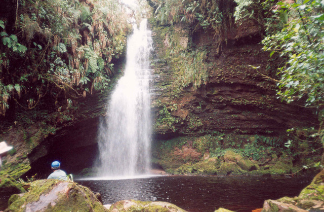 Resultado de imagen para parque nacional de los takios