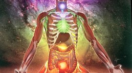 Timeline: la reminiscencia