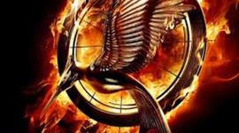 Timeline: Catching Fire