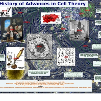 Timeline: Cell Theory Timeline