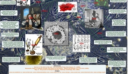 Timeline: Cell Theory Timeline