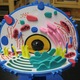 Animal cell facts