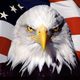 Bald eagle and flag united states america1