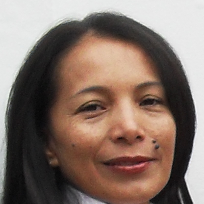 Timeline: Experiencia Academica