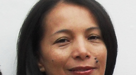 Timeline: Experiencia Academica