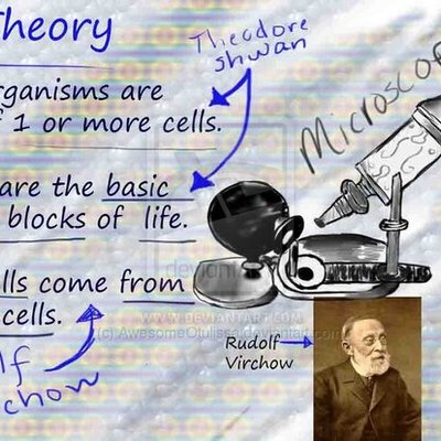 Timeline: Generation To Cell Theory