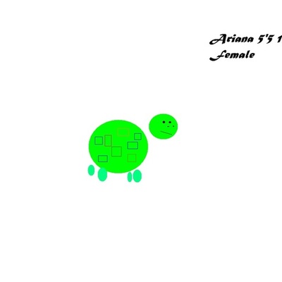 Timeline: Ariana's life