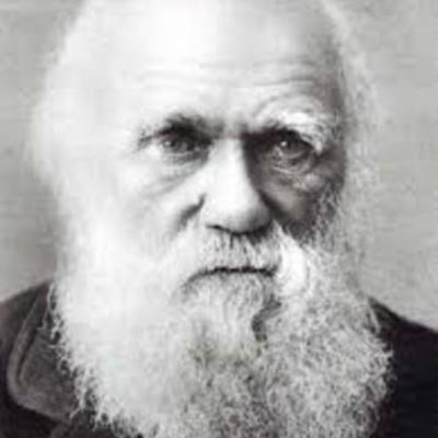 Timeline: Darwin Biografía