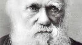 Timeline: Darwin Biografía
