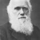 Darwinsou