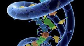 Timeline: Understanding Development of Cell Theory