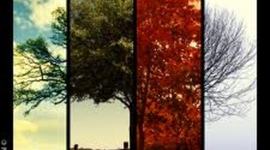 Timeline: Changing of the Seasons