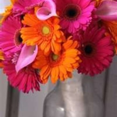 Timeline: My Life-S.A.M.