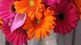 Timeline: My Life-S.A.M.