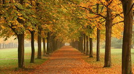 Timeline: Mi linea del tiempo