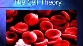 Timeline: Cell Theory
