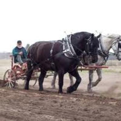 Timeline: 19.sajand maailmas