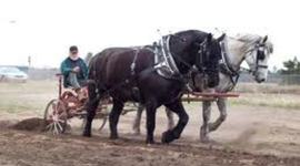 Timeline: 19.sajand maailmas