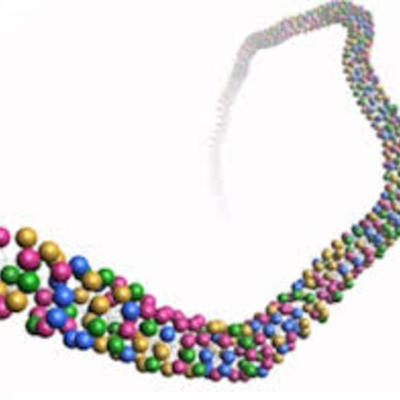 Timeline: Biotecnología - Carolina Silberman