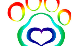 Timeline: Animal Trainer Career Goals