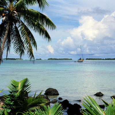 Timeline: EME 6457: Assignment Schedule