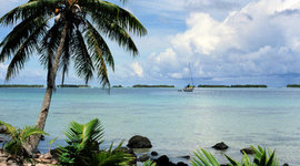 Timeline: EME 6457: Assignment Schedule