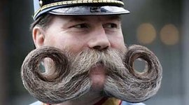 Timeline: p8_Sutton_vetsday