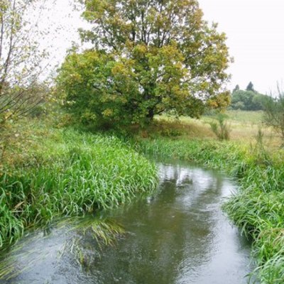 Timeline: Dansk som andetsprog i Viborg