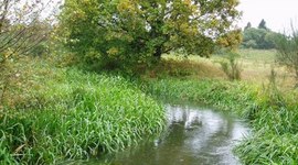 Timeline: Dansk som andetsprog i Viborg