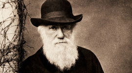 Timeline: Charles Darwin