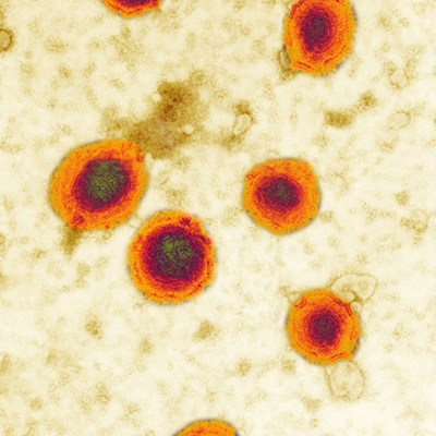 Timeline: My History