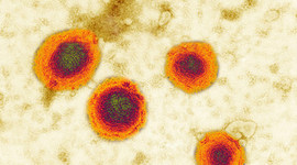 Timeline: My History