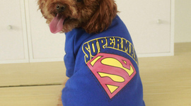 Timeline: Timelime Project