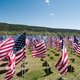 7317288 american flags memorial for vietnam war veterans in questa nm