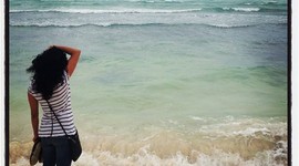 Timeline: Linea del tiempo