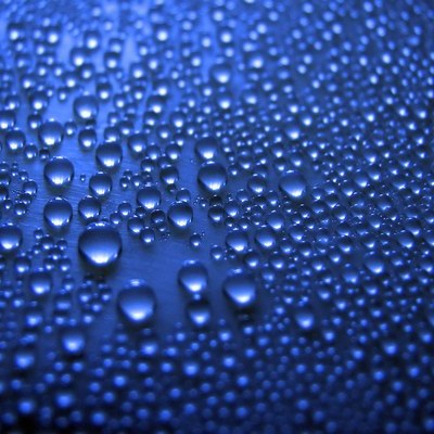 Timeline: Andrew Jackson