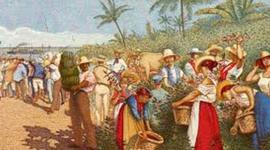 Timeline: Plan de Estudio Historia de Costa Rica VI Año