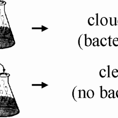 Timeline: Researchers of Abioenesis and Biogenesis