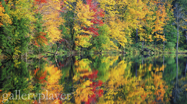 Timeline: Noelle's Timeline