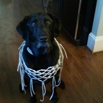 Timeline: Spanish III project and cool stuff by Jake S.