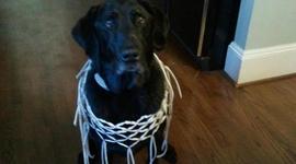 Timeline: Spanish III project and cool stuff by Jake S.