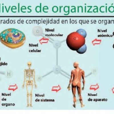 Timeline: Tiempo probable