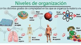 Timeline: Tiempo probable