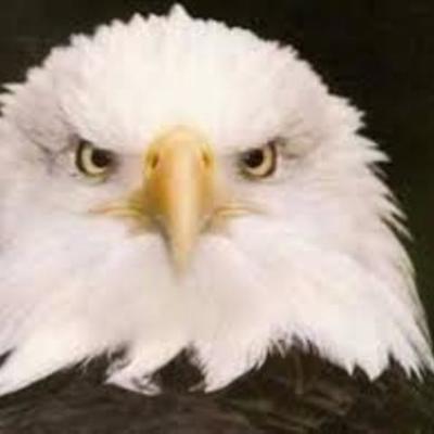 Timeline: The American Revolution